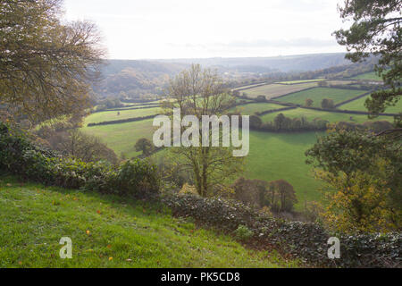 Der Blick über den Fluss Torridge Tal vom Castle Hill, Great Torrington, North Devon, England, Vereinigtes Königreich. Stockfoto