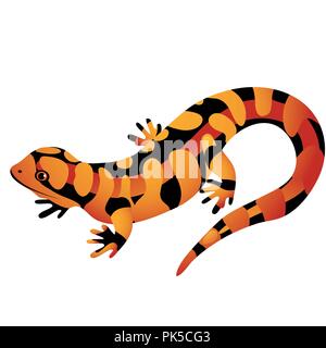 Orange gefleckte Salamander auf einem weißen Hintergrund. Cartoon Vektor close-up Abbildung. Stock Vektor