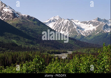 Wunderschöne Landschaft durch den alaskischen Wildnis, von Zug, in der kurze Sommer. Stockfoto