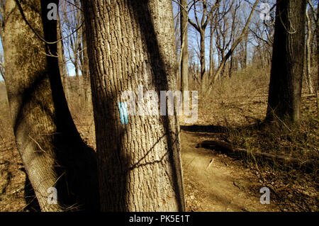 Die großen BlueTrail und seine blaue Flamme Trail Markierungen macht es weg von Maryland und Virginia. Die Big Blue ist 144 km lang. Es beginnt im Norden ein Stockfoto