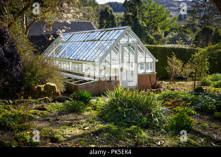 Am frühen Morgen Sonne hebt die Arduaine Gärten arbeiten Gewächshaus vor dem Tag unterwegs erhält. Blick auf den Arbeitsbereich von Arduaine Gärten. Argyll Stockfoto