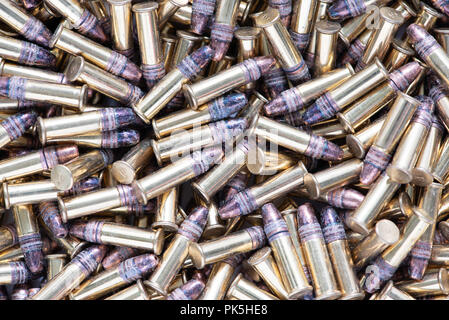 Einen großen Haufen von Bundes Meister verkupfert Hollow point .22 Long Rifle Munition Stockfoto