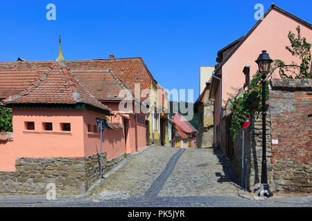 Eine traditionelle bunte Straße mit Kopfsteinpflaster in der Altstadt von Schäßburg in Siebenbürgen, Rumänien