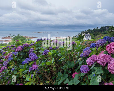 Strand von Pointe Arcouest, Bretagne, Frankreich. Stockfoto