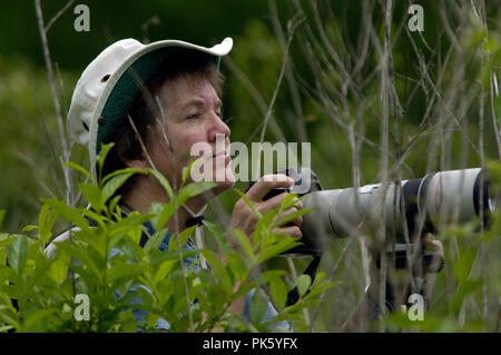 Ein naturfotograf arbeitet bei Blandy Farm Virginia State Arboretum unter der Universität von Virginia in Clarke County. Stockfoto