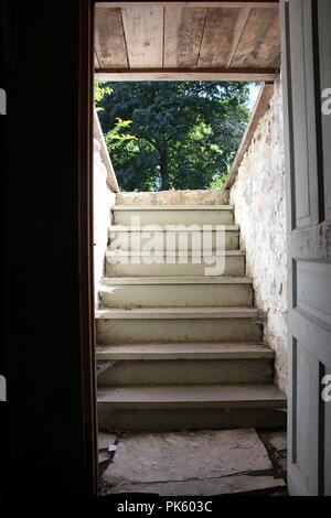 An einem Spätsommertag die Treppe hinauf und von innen aus in den Konservenkeller nach außen schauen. Stockfoto