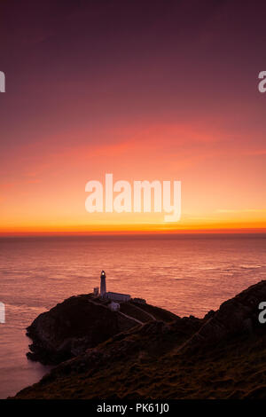 South Stack Leuchtturm bei Sonnenuntergang an der Küste von Anglesey, Nordwales Stockfoto