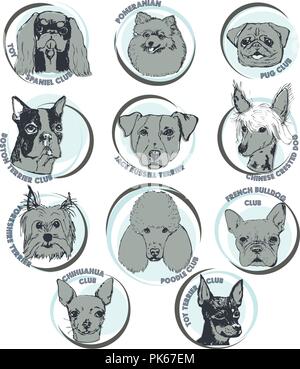 Hund Vector Illustration. Hand Hund Rasse Porträts mit Namen gezeichnet. Skizze von Reinrassigen kleine Hunde. T-shirt Druckvorlage für Hundefreunde. Logo Elemente Stock Vektor