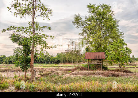 Ackerland bei der Khorat-Hochebene nach der Ernte, Thailand Stockfoto