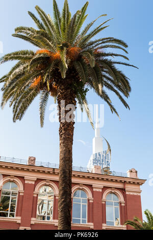 Blick auf die Palme und Le Meridien Hotel Batumi, Georgien Stockfoto