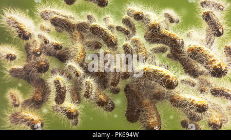 Mikroskopische Bakterien closeup - 3D-Rendering Stockfoto