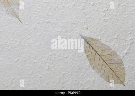 Handgeschöpftes Papier Textur mit recycelten Materialien, Baum Blätter und Baumwolle. In feinen, klaren und Vanille. Stockfoto