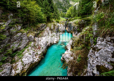 Velika Korita oder Große Schlucht des Fluss Soca, Bovec, Slowenien. Schöne lebendige türkis Baches rapids, läuft durch einen Canyon umgeben von Fore Stockfoto
