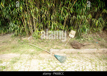 Schaufel, Besen und Rechen auf grünem Gras mit Blatt und Bambusse im Herbst Garten Stockfoto