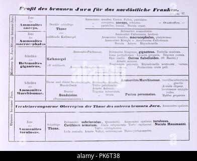 Bericht der Naturforschenden Gesellschaft zu Bamberg Stockfoto