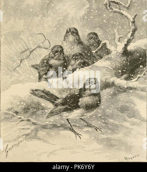 Die ong Vögel und Jahreszeiten' (1888) Stockfoto