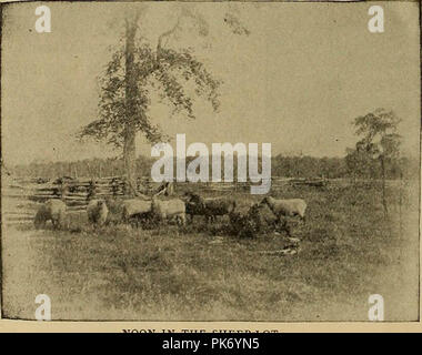 'Home Schule der amerikanischen Literatur: "(1897) Stockfoto