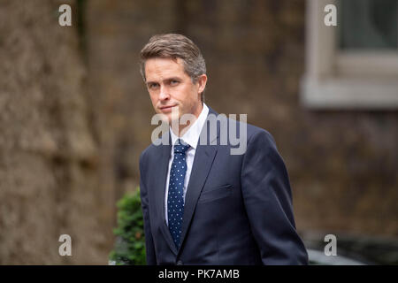 London, 11. September 2018, Gavin Williamson CBE MP PC, Verteidigungsminister,, kommt an einer Kabinettssitzung am 10 Downing Street, London Credit Ian Davidson/Alamy leben Nachrichten Stockfoto