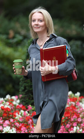 London, UK, 11. September 2018. Elizabeth Truss, Parlamentssekretärin im Finanzministerium, kommt zur wöchentlichen Kabinettssitzung in der Downing Street an Stockfoto