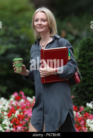 London, UK, 11. September 2018. Elizabeth Truss, Parlamentssekretärin im Finanzministerium, kommt zur wöchentlichen Kabinettssitzung in der Downing Street an Stockfoto