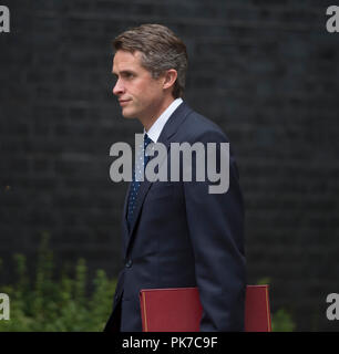 Downing Street, London, UK. 11. September 2018. Gavin Williamson, Staatssekretär für Verteidigung, kommt in der Downing Street für die wöchentliche Kabinettssitzung. Credit: Malcolm Park/Alamy Leben Nachrichten. Stockfoto