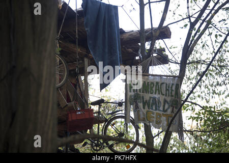 September 11, 2018 - Kerpen, Nordrhein-Westfalen, Deutschland - Das Hambacher Forst ist ein Wald in Nordrhein-Westfalen, die RWE will zum Löschen der Tagebau Hambach, der den Wald Grenzen zu erweitern. Umweltaktivisten haben den Wald mit Baum Häuser besetzt und zu verteidigen, die unter anderem mit Barrikaden gegen die Clearing-, Kredit: Jannis Grosse/ZUMA Draht/Alamy leben Nachrichten Stockfoto