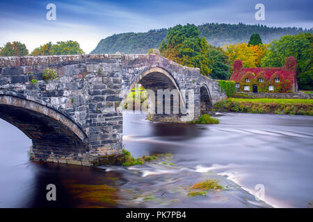 North Wales, 12. September 2018. UK Wetter: Nach einer Nacht, Regen, Sonnenschein zurück in Conwy Valley, North Wales. Herbst Farben der Virginia kriechende Efeu auf Tu Hwnt I'r Bont Teestuben zu stehen, als sie fangen an, rot für Herbst, Llanrwst, Wales - © DGDImages/AlamyNews zu drehen Stockfoto