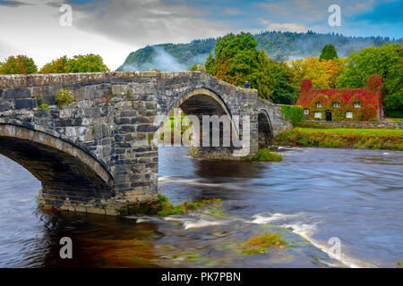 North Wales, 12. September 2018. UK Wetter: Nach einer Nacht, Regen, Sonnenschein zurück in Conwy Valley, North Wales. Herbst Farben der Virginia kriechende Efeu auf Tu Hwnt I'r Bont Teestuben zu stehen, als sie fangen an, rot für Herbst, Llanrwst, Wales - © DGDImages/AlamyNews zu drehen Stockfoto