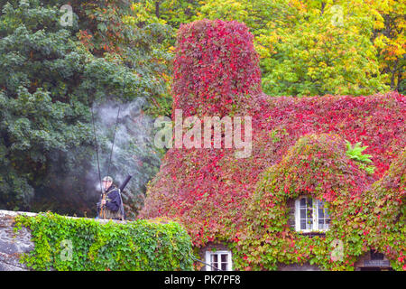 North Wales, 12. September 2018. UK Wetter: Nach einer Nacht, Regen, Sonnenschein zurück in Conwy Valley, North Wales. Herbst Farben der Virginia kriechende Efeu auf Tu Hwnt I'r Bont Teestuben zu stehen, als sie fangen an, rot für den Herbst zu drehen als Lachs Fischer vorbei in sein Glück auf dem Fluss Conwy, Llanrwst, Wales © DGDImages/AlamyNews versucht Stockfoto