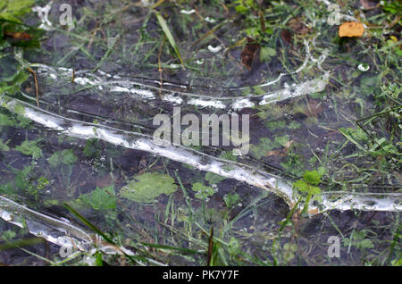 Gefrorene gestreifte Pfütze mit Luftblasen im späten Herbst close-up Stockfoto