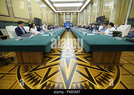 Bukarest, Rumänien - 5 September, 2018: Rumäniens Premierminister Viorica Dancila leitet die Regierung treffen, im Victoria Palace in Bukarest, auf Stockfoto