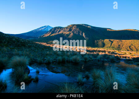 Am frühen Morgen Sonnenaufgang, Landschaft von gefrorenen Blau reines Wasser See, wilde Berge, riesige Vulkan mit dem Peak durch den ersten Schnee bedeckt, Neuseeland Stockfoto