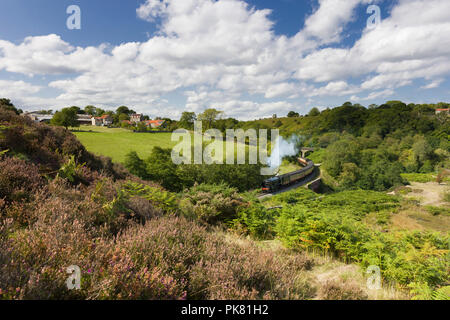 Eine Dampflok Reisen von Whitby und Grosmont durch Darnholme in Goathland und Pickering auf der North Yorkshire Moors Railway, England. Stockfoto