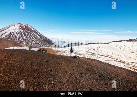 Reisende, Wanderer und tramper zu Fuß von Red Crater zum South Crater, Ngauruhoe aktiver stratovulkan vor ihm, Tongariro Crossing Stockfoto