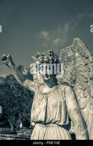 Stone Angel über eine Grabstätte. Stockfoto