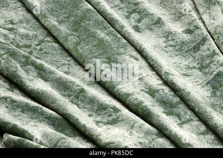 Seide Viskose Gewebe. Velvet mit blauem Muster spritzen auf Grün. Stockfoto