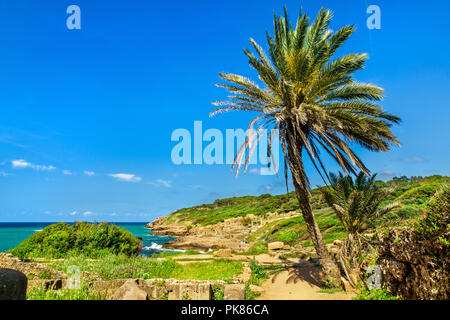 Ruinen von Tipasa, einem römischen Colonia in Algerien, Nord Afrika Stockfoto