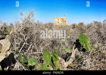 Festung Burg zwischen trockener Vegetation auf der Insel Tabarca, Alicante, Spanien. Sonnigen Tag und blauer Himmel. Stockfoto