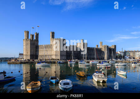 Caernarfon Castle Caernarfon Gwynedd Wales Stockfoto