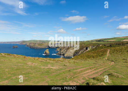 Küste von North Cornwall Blick auf boscastle von Tintagel schönen blauen Himmel und Meer Stockfoto