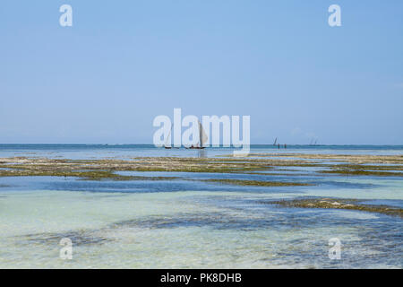 Ebbe in einem Galu Kinondo - Beach, Kenia Stockfoto