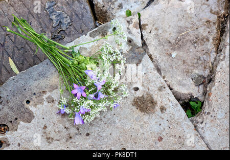 Schöner Frühling Bouquet von glockenblumen liegen auf den Stein in die Berge, kopieren Raum auf der rechten Seite Stockfoto