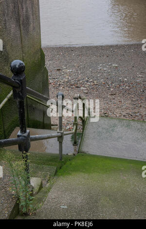 Ein Satz von Stone adr konkrete Schritte, die an der Themse bei Ebbe mit glatten grünen Algen auf die Schritte und den trüben Wassern unten. Stockfoto