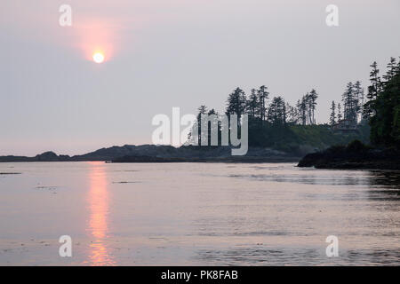 Ocean View am felsigen Strand während einer lebendigen Sommer Sonnenuntergang. Auf der Terrasse Strand, Ucluelet, Vancouver Island, BC, Kanada. Stockfoto