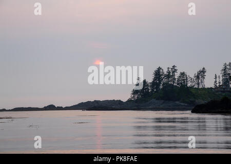 Ocean View am felsigen Strand während einer lebendigen Sommer Sonnenuntergang. Auf der Terrasse Strand, Ucluelet, Vancouver Island, BC, Kanada. Stockfoto