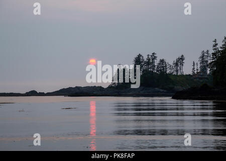 Ocean View am felsigen Strand während einer lebendigen Sommer Sonnenuntergang. Auf der Terrasse Strand, Ucluelet, Vancouver Island, BC, Kanada. Stockfoto