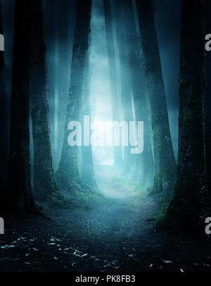 Eine dunkle und Moody Wald bei nacht mit einen Weg durch. Foto Composite. Stockfoto