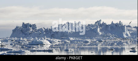 Eisberg schwimmend im Wasser vor der Küste von Grönland. Natur und Landschaft Grönlands. Stockfoto