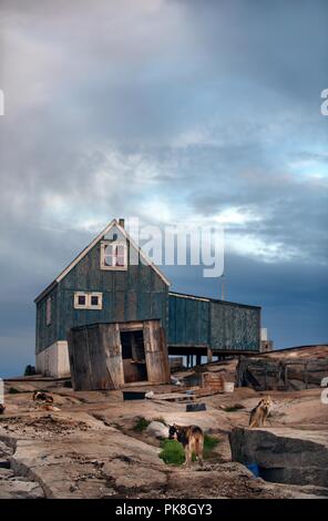 Haus auf der felsigen Ufer und Hunde. Grönland Hunde in Rodebay Siedlung ruht. Die Grönland Hund (s Grönland Husky) ist eine große Rasse von Husky - Typ Stockfoto