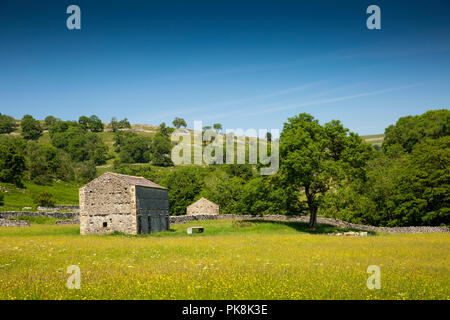 England, Yorkshire, Wharfedale, Hubberholme, Landwirtschaft, traditionellen Stein Feld Scheune im Heu Wiese Stockfoto